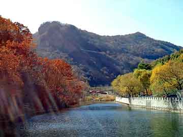 芜湖打胎药含有黄体酮吗（打胎药里面有什么成分）
