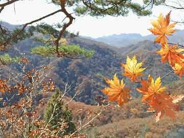 芜湖24周能吃打胎药吗（孕24周可以打掉吗）